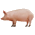 :pigs: